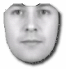 Face Recognition