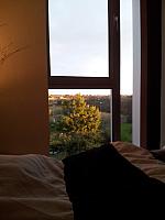 morning2