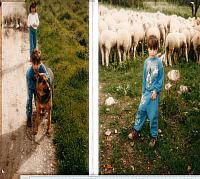 farm