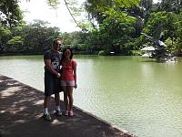 botanic 34