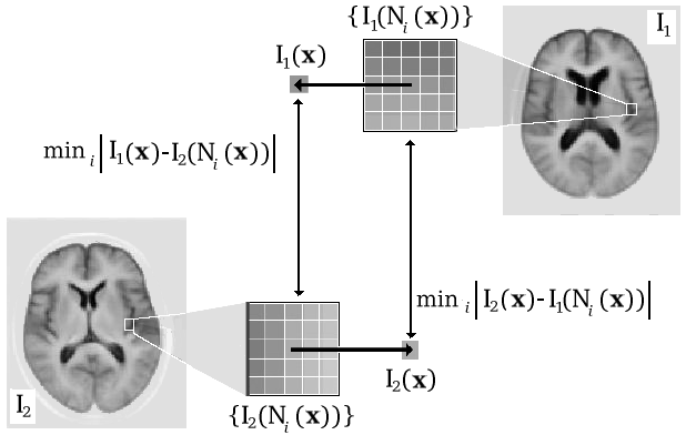 Image brains_shuffle_symmetric-revised