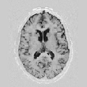 \includegraphics[scale=0.75]{/home/roy/Thesis/Graphics/1-2}