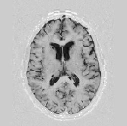 \includegraphics[scale=0.63]{/home/roy/Thesis/Graphics/5-2}