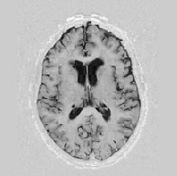 \includegraphics[scale=0.63]{/home/roy/Thesis/Graphics/5-4}