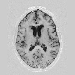 \includegraphics[scale=0.63]{/home/roy/Thesis/Graphics/5-5}
