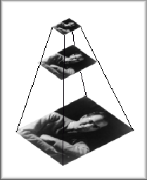 \includegraphics[scale=0.7]{Graphics/pyramid}
