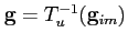 $\mathbf{g}=T_{u}^{-1}(\mathbf{g}_{im})$