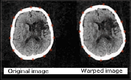 \includegraphics[scale=0.7]{Graphics/brain}