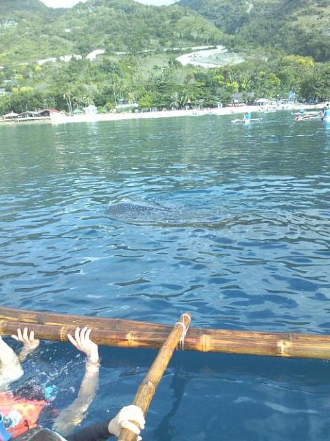 IMG 20170517 073206 1