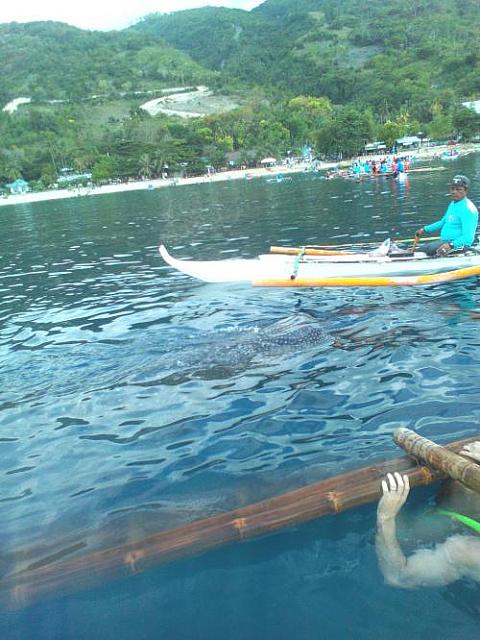 IMG 20170517 074253 1