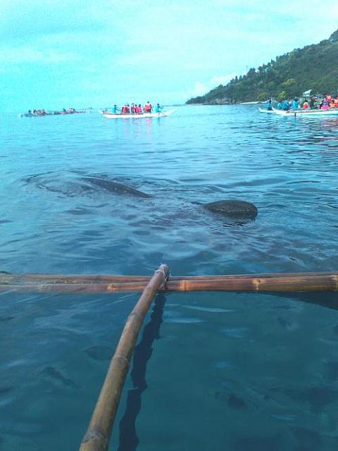 IMG 20170517 075757 1