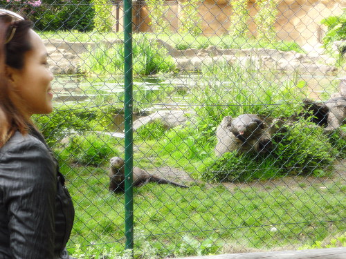 zoo-59