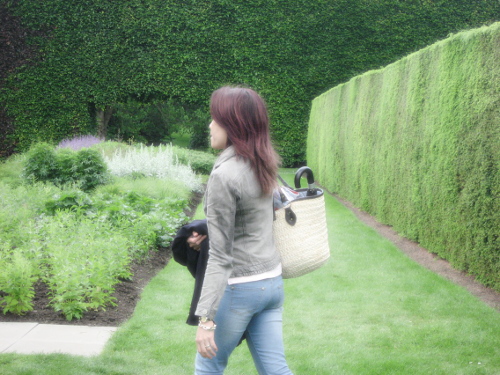 royal botanic garden 15