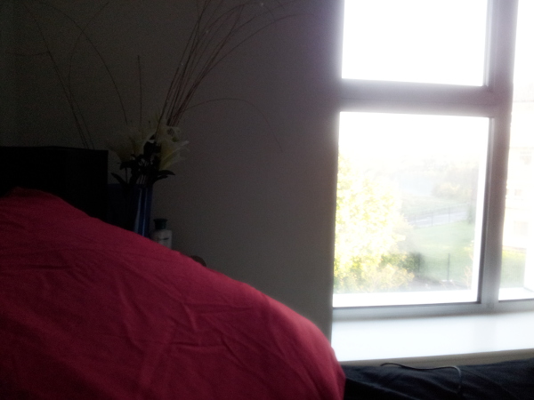 mist-in-sand-hills-morning8