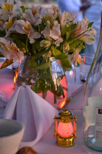 palmas-del-mar- 1280