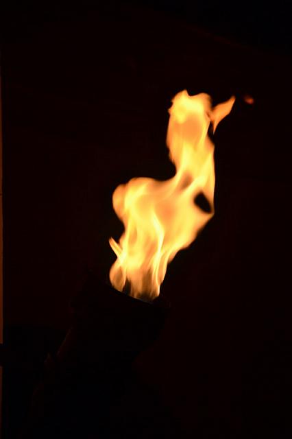 palmas-del-mar- 1372