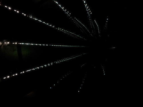 museum-experiments-20