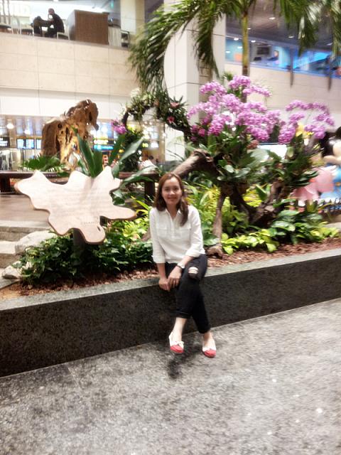 changi-airport-13