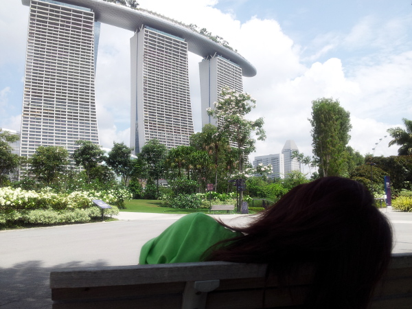 gardens by the bay-2