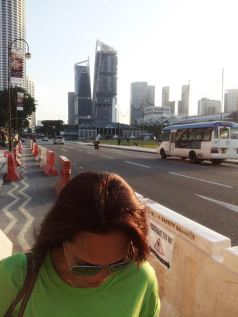 gardens by the bay-3