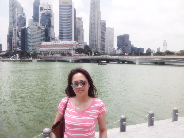 singapore skyline 12