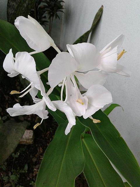 image-0-02-06-7eb4f12c6f0dc6cc8113189d4ce573b7ff19503575adae3484ccb4a096c39cdd-V