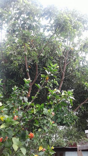 image-0-02-06-fc8fa7c01a5b4ee19956de25c14467f3c731387f04f3bd966364126ea7613558-V