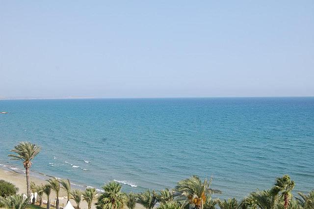 247880 4204358421550 1484781478 n